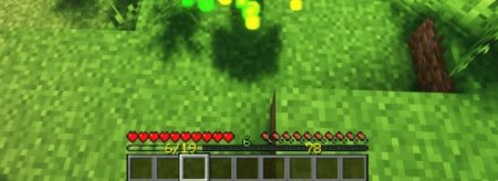  EXP Counter  Minecraft 1.21.4