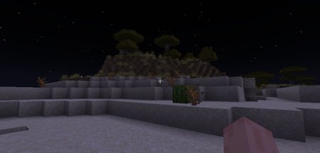  Cat Eyes  Minecraft 1.21.3