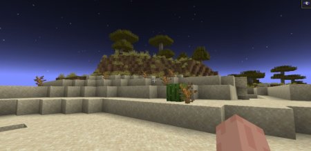  Cat Eyes  Minecraft 1.21.3