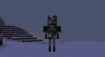  Bogged Spawn  Minecraft 1.21.4