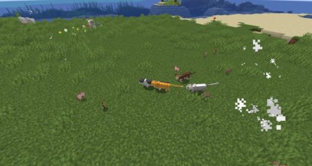  Revamped Cats  Minecraft 1.21.4