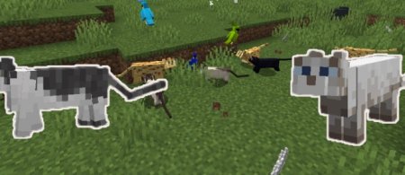  Revamped Cats  Minecraft 1.21.4