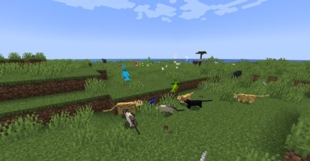  Revamped Cats  Minecraft 1.21.4