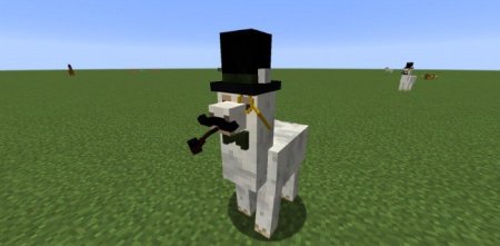  Better Than Llamas  Minecraft 1.21.3