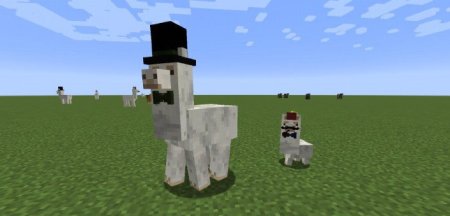  Better Than Llamas  Minecraft 1.21.3