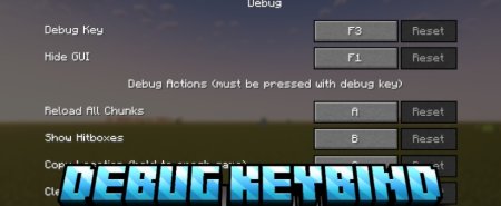  Debug Keybind  Minecraft 1.21.3