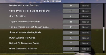  Debug Keybind  Minecraft 1.21.3