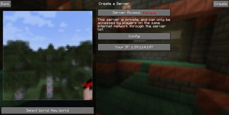  P2P Mod  Minecraft 1.20.6