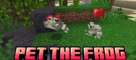  Pet The Frog  Minecraft 1.21.4