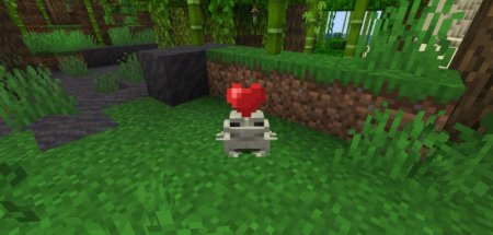  Pet The Frog  Minecraft 1.21.4