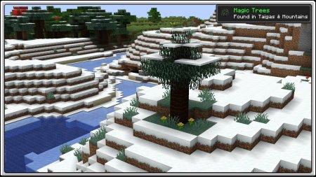  Premium Wood  Minecraft 1.21.3