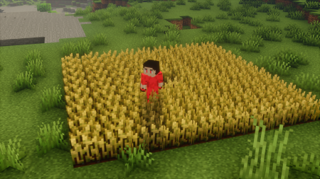  No Crop Trample  Minecraft 1.21.4