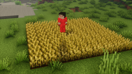  No Crop Trample  Minecraft 1.21.4