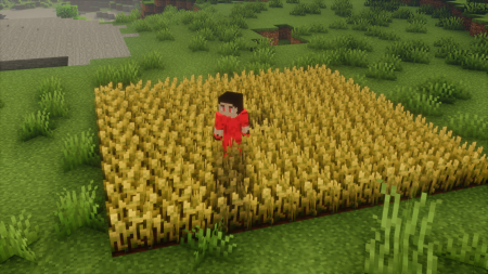  No Crop Trample  Minecraft 1.21.4