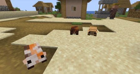  Guinea Pigs  Minecraft 1.20.3