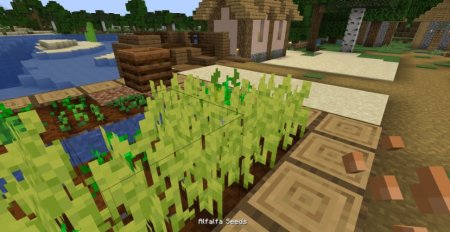  Guinea Pigs  Minecraft 1.20.3