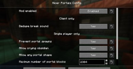  Nicer Portals  Minecraft 1.21.3