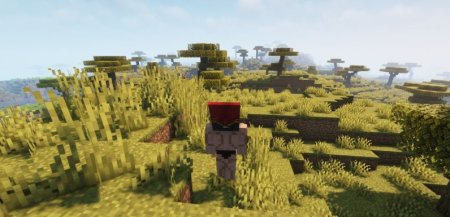  Wavey Capes  Minecraft 1.21.3