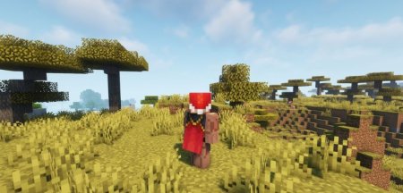  Wavey Capes  Minecraft 1.21.3