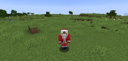  Selfexpression  Minecraft 1.21.4