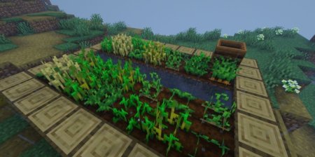  Crops Love Rain  Minecraft 1.21.3