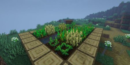  Crops Love Rain  Minecraft 1.21.3