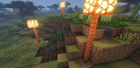  Crops Love Rain  Minecraft 1.21.3