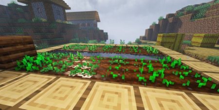  Crops Love Rain  Minecraft 1.21.3