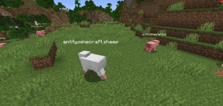  Fancy Clear  Minecraft 1.21.1