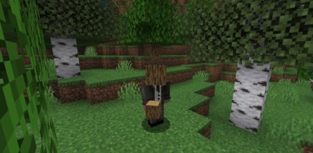  Everything As A Hat  Minecraft 1.21.3