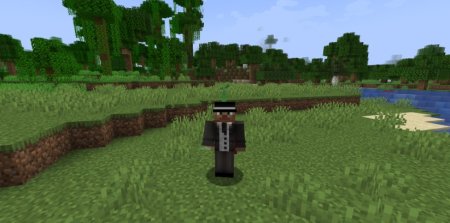  Everything As A Hat  Minecraft 1.21.3