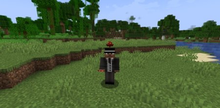  Everything As A Hat  Minecraft 1.21.3