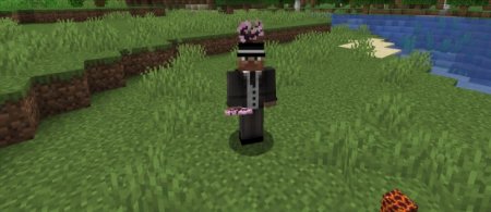  Everything As A Hat  Minecraft 1.21.3