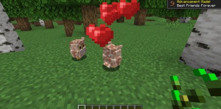  Animal Garden Owl  Minecraft 1.21.3