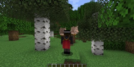  Animal Garden Owl  Minecraft 1.21.4