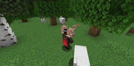  Animal Garden Owl  Minecraft 1.21.4