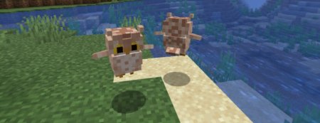  Animal Garden Owl  Minecraft 1.21.4