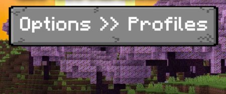  Options Profiles  Minecraft 1.21.3