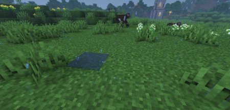  Motschens Puddles  Minecraft 1.21.1