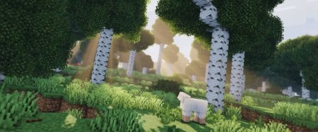  Woodlands Extra  Minecraft 1.20