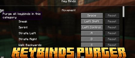  KeybindsPurger  Minecraft 1.21.3