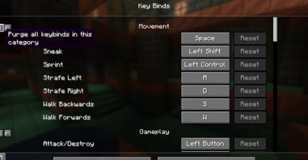  KeybindsPurger  Minecraft 1.21.3