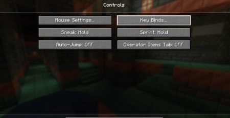  KeybindsPurger  Minecraft 1.21.3