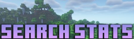  Search Stats  Minecraft 1.21.3