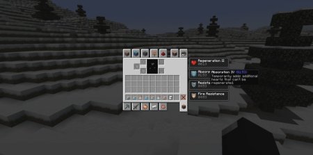  Effect Descriptions  Minecraft 1.21.1