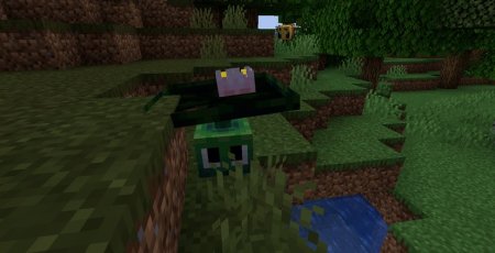  Creatures and Beasts: The Unofficial  Minecraft 1.20