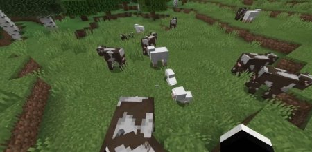  Solid Mobs  Minecraft 1.21.1