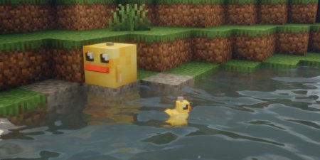  Hook A Duck  Minecraft 1.21