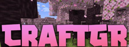  CraftGR  Minecraft 1.21.3