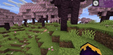  CraftGR  Minecraft 1.21.3